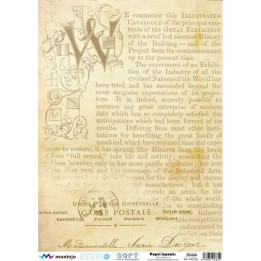 copy of 